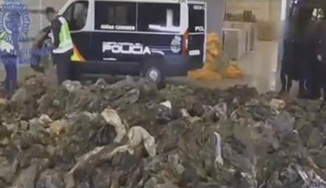 کشف 20 هزار یونیفرم داعشی در اسپانیا