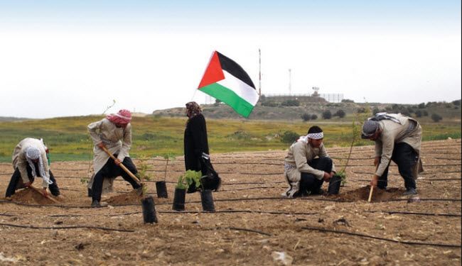 الجهاد الإسلامي: مع التصعيد والمواجهة لاستعادة فلسطين