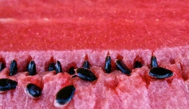 فوائد مذهلة لبذور البطيخ.. لن تتخيلها ابدا!