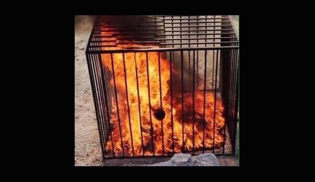 داعش، 19 دخترِ کُرد را در قفس سوزاند