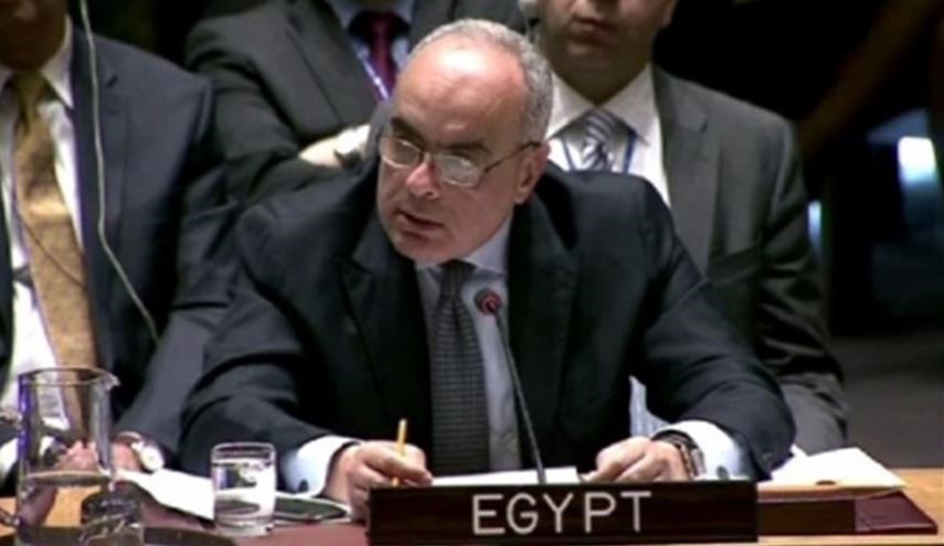 دبلوماسي مصري: لن نسمح للمتطرفين بحكم سوريا