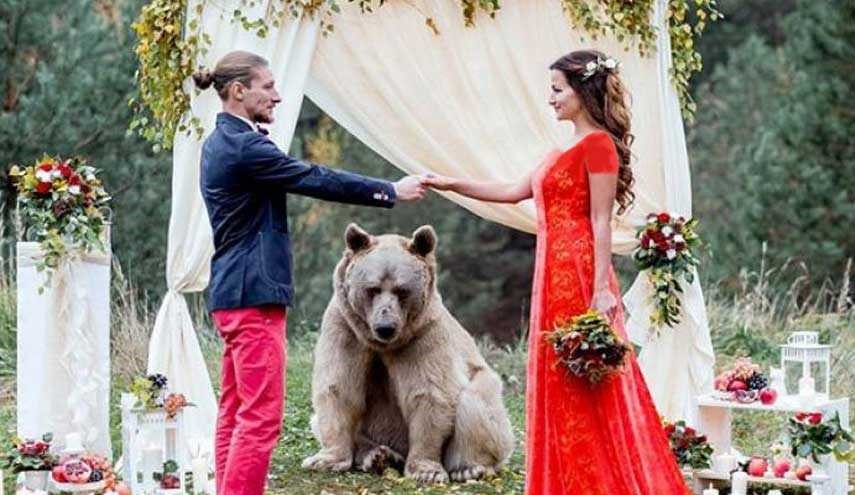 یک خرس، زوج روسی را به عقد هم درآورد! (تصاویر)