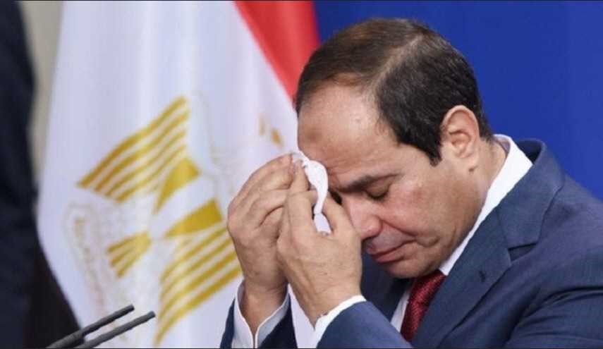 القضاء المصري يغرم السيسي 800 جنيه بسبب السعودية!