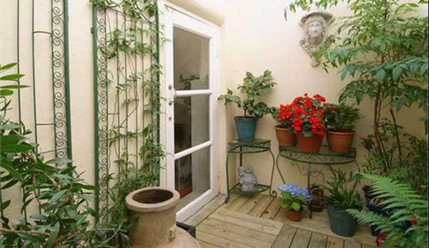 تصفیه هوای خانه با گیاهان!