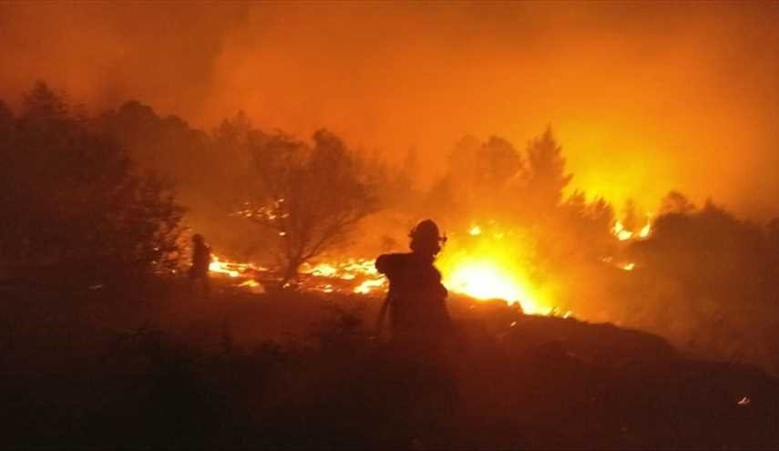 «اسرائیل» در آتش می‌سوزد؛ درخواست کمک از ترکیه (تصاویر)
