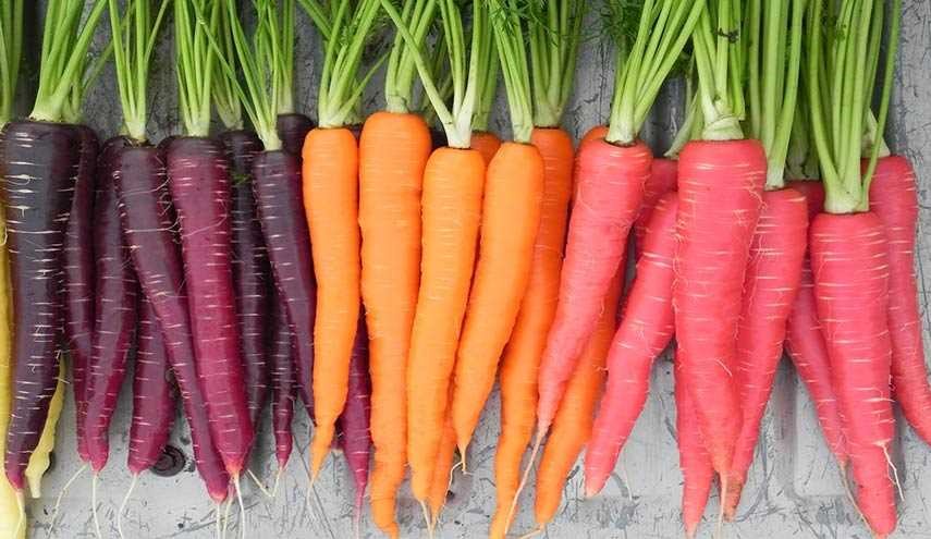 الخضروات الملونة يمكنها الحدّ من الخرف عند كبار السن