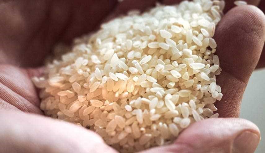 چگونه برنج پلاستیکی را تشخیص دهیم؟
