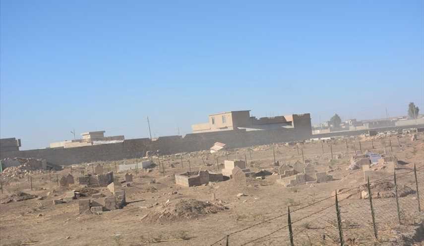 بالصور ..جماعة 