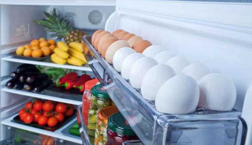 ماذا يحدث إذا وضعتم إسفنجة داخل الثلاجة؟