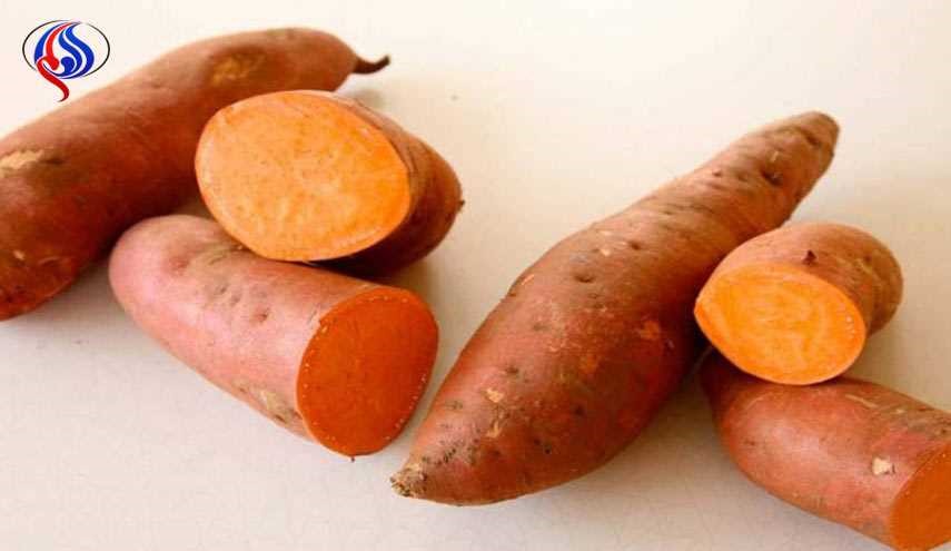 البطاطا الحلوة مخزن غذائي يضم العديد من الفيتامينات والمعادن