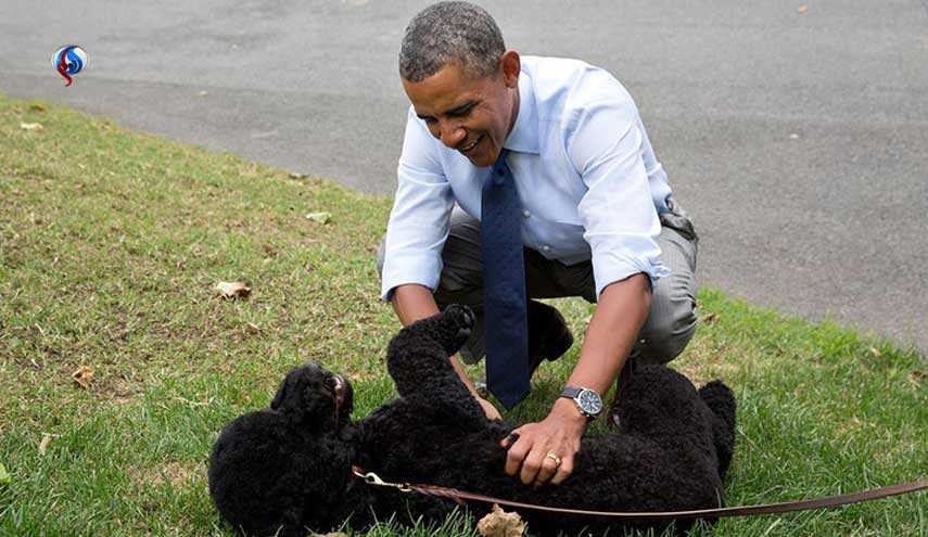 بالصور.. كلب أوباما يعض فتاة استضافها الرئيس