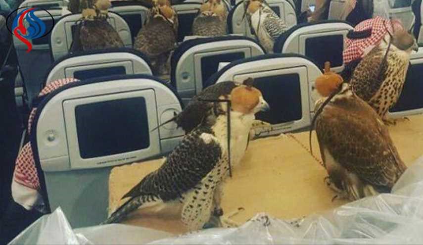 عکس؛ شاهزاده سعودی برای پرنده‌ها بلیت هواپیما خرید