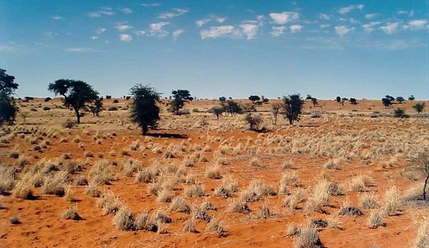 بالصور..صحراء كالاهاري في ناميبيا