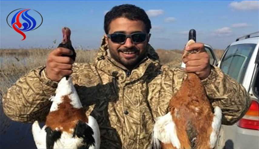 بالصور.. أمراء قطر والإمارات يعبثون بمحميات الطيور في آذربيجان