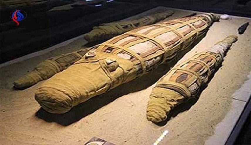 کشف یک تمساح مومیایی غول پیکر در مصر
