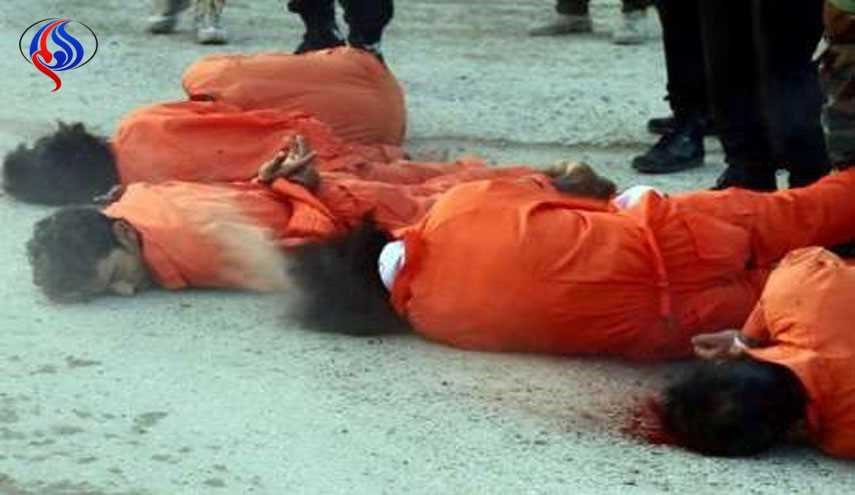 داعش ۵ نفر را در سینا اعدام کرد