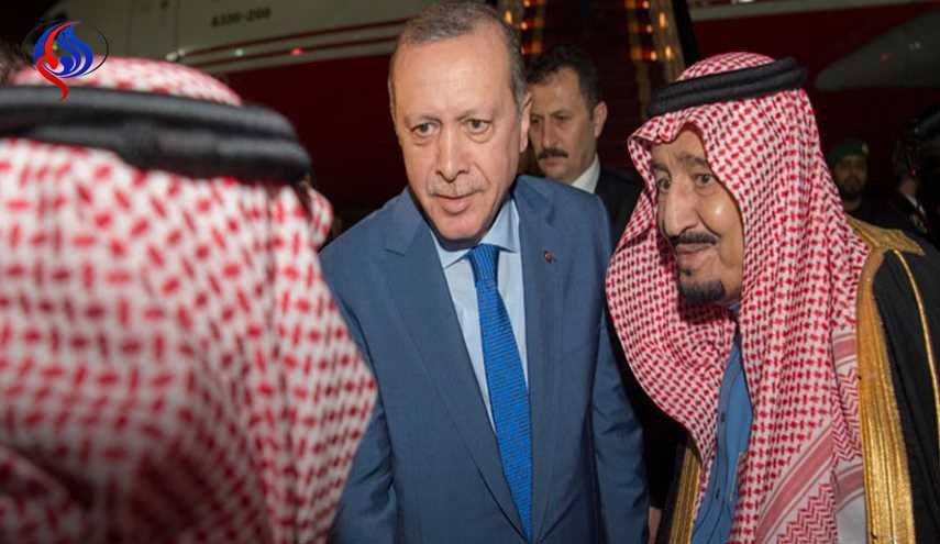 نویسندۀ اماراتی: اعراب 2 بار از نیش اردوغان گزیده نمی شوند