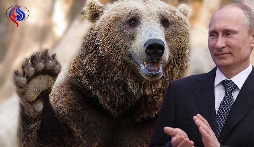 هشدار روسیه به انگلیس: «کاری با خرس روسی نداشته باش»!