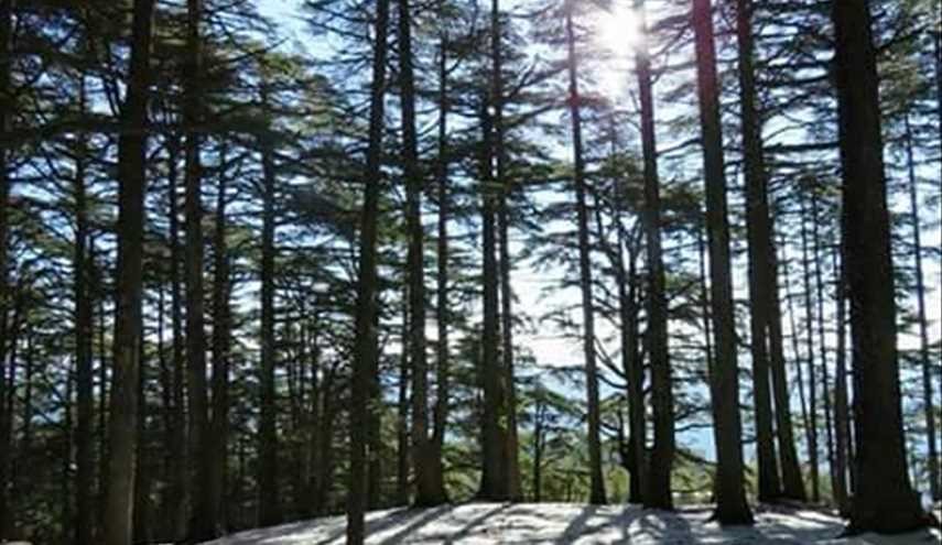 بالصور...الطبيعة في الجزائر