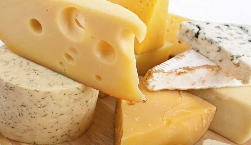 دراسة: الجبن يزيد خطر السرطان.. والزبادي يخفضه