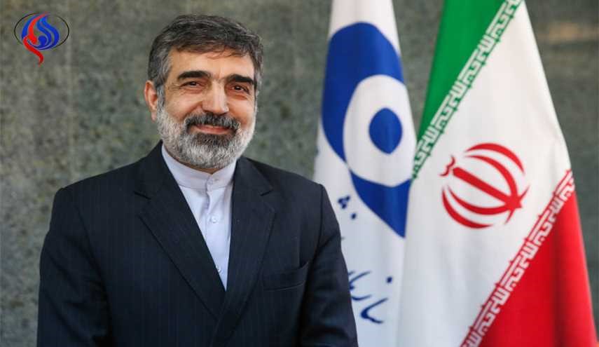 كمالوندي: إيران قادرة على إنتاج وقود المحطات النووية في غضون 10 أعوام