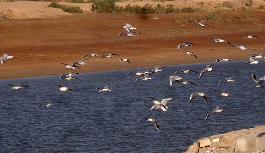 شاهد بالصور مناظر طبيعية في العراق