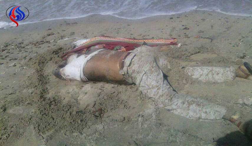 صور.. خفر السواحل اليمني يعثر على جثة جندي تابع لتحالف العدوان في الخوخة