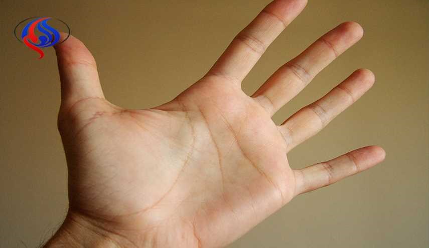 أخيراً.. العلماء يكتشفون لماذا نملك 5 أصابع وليس 6؟!