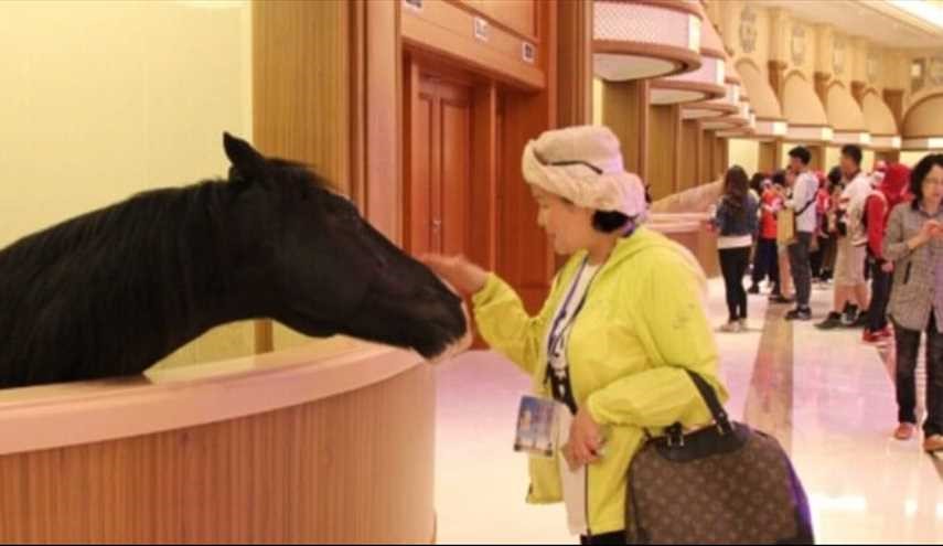 بالصور: هل هذا اسطبل للخيول أم فندق فاخر؟
