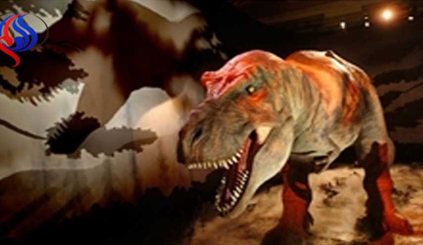 کشف محل زندگی بزرگ‌ترین دایناسورهای تاریخ