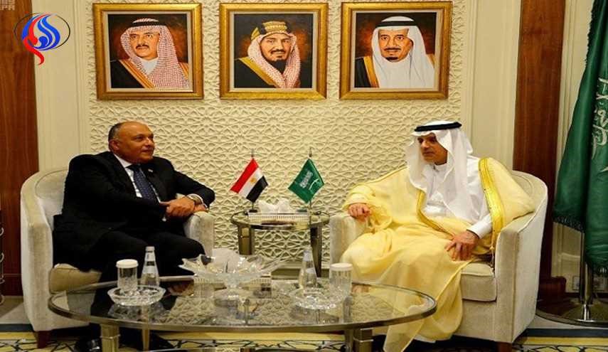 وزيرا الخارجية السعودي والمصري يبحثان حل الأزمة السورية