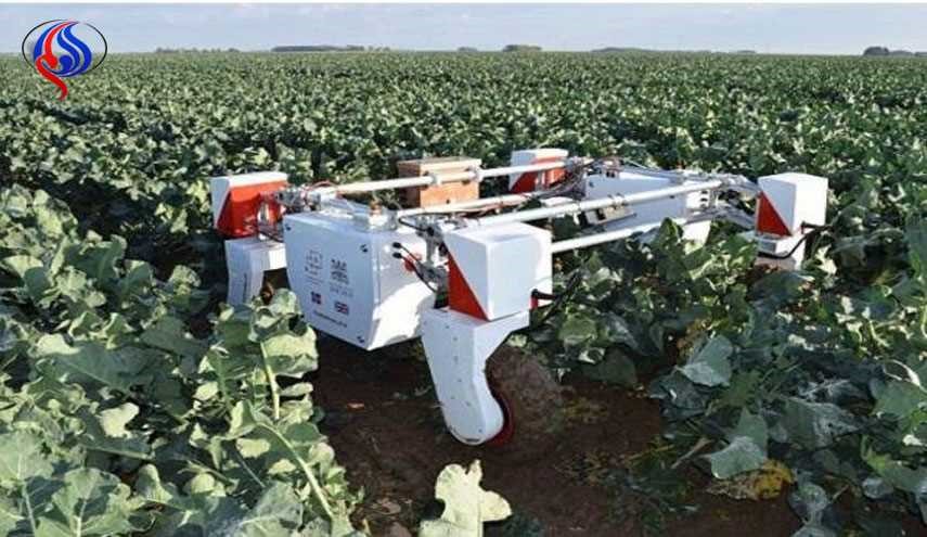 روباتی که سبزی و میوه می چیند