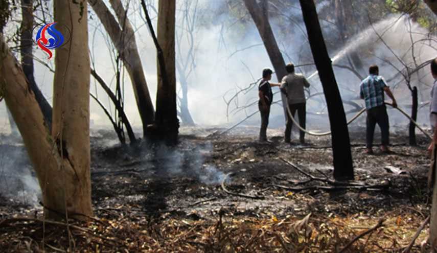 آتش سوزی در جنگل کوی سوم شعبان دزفول