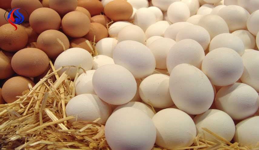 لحماية البصر وفقدان الوزن تناول البيض يوميا