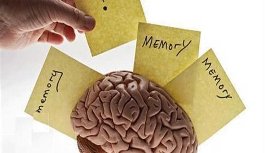 دراسة تشير إلى تطور الذاكرة الإنسانية على مر التاريخ