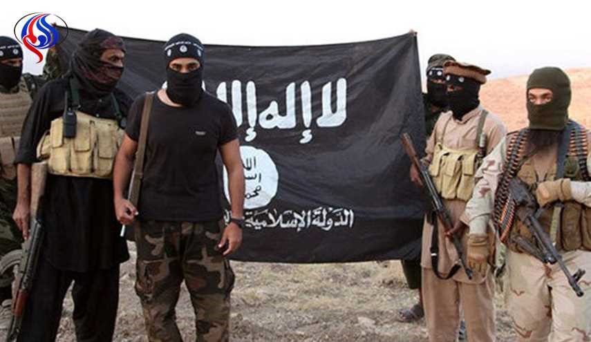 اعتراف داعش به الگو گرفتن از مؤسس وهابیت