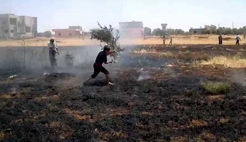 جيش الاسلام يحرق المحاصيل الزراعية في الغوطة الشرقية