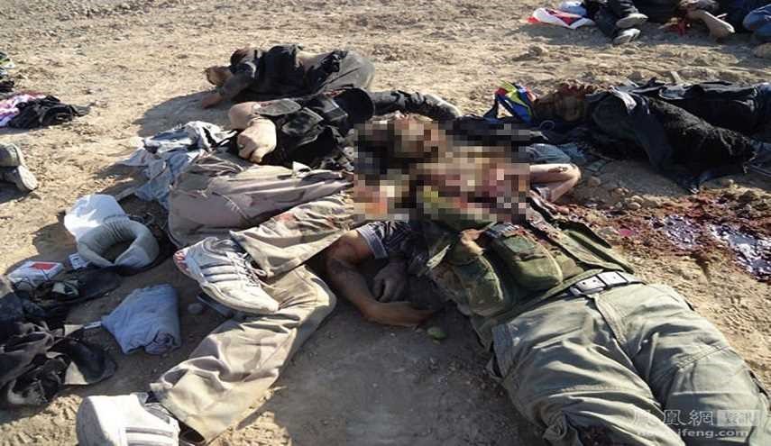 اسماء 13 مسلحا من الجيش الحر بينهم قيادي قتلوا امس في درعا