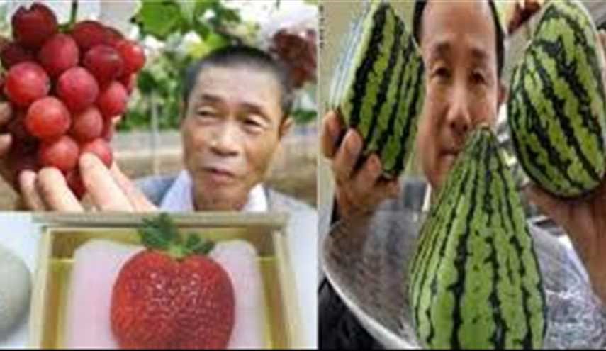 بطيخ فاخر بـ27 ألف دولار وحبة فراولة بـ4 آلاف دولار فقط في اليابان!