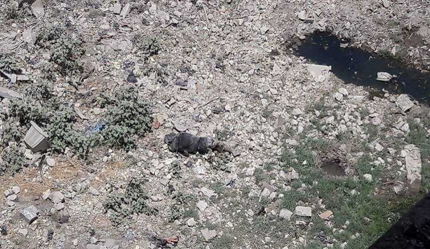 بالصور.. جثث مسلحي داعش تطفو فوق نهر دجلة في الموصل