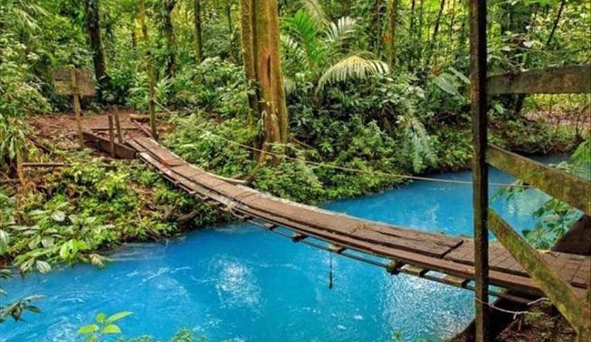 المياه الفيروزية في قلب الطبيعة الساحرة في كوستاريكا