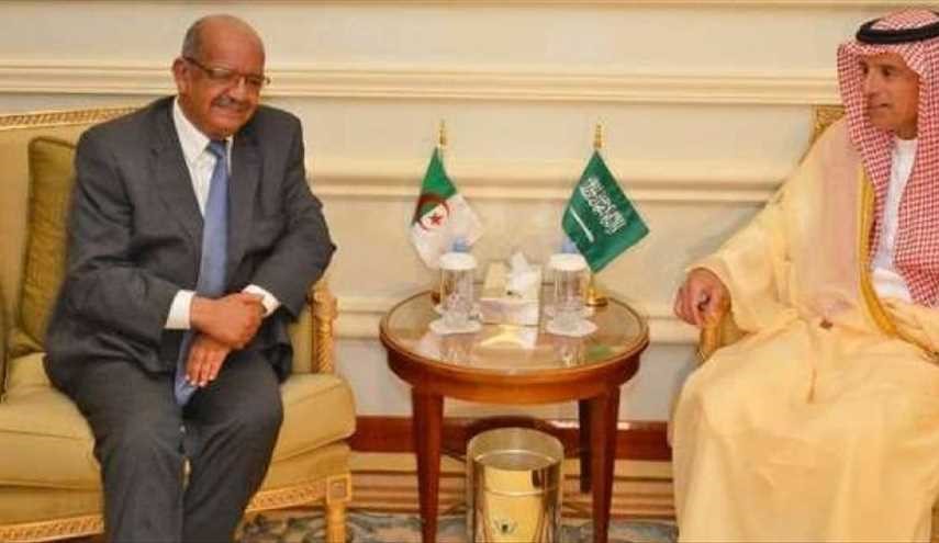 العلاقات الجزائرية السعودية الانقطاع أم المواصلة؟!