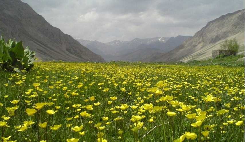 سهل لار،بالقرب من جبل دماوند، شمال ايران