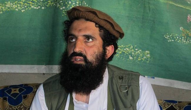 5 Taliban Commanders Declare Allegiance to ISIS