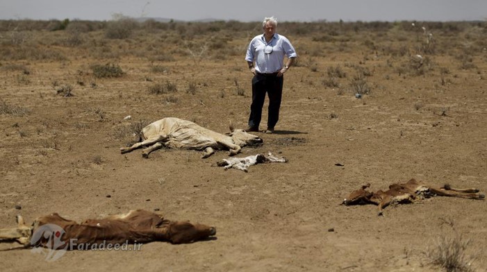 خشکسالی وحشتناک در کنیا