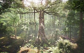 اکتشافی عجیب از جهان مرموز درختان