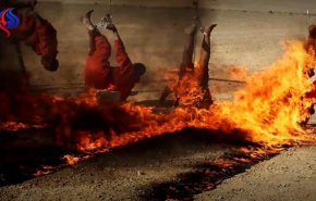 داعش 10 نفر از عناصر خود را زنده زنده سوزاند