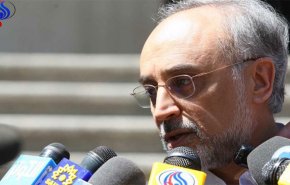 صالحی: احتمالا ظریف برای برگزاری نشست وزیران خارجه ایران و 1+5 اقدام کند