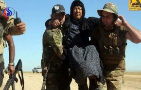 پناه دادن به خانوارهای فراری از داعش در اطراف حویجه