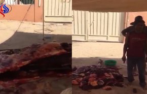  فيديو صادم| في الكويت.. ذبحوا حصاناً داخل حظيرة وقطّعوه لبيعه!